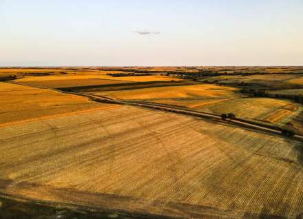 Learn more about Lethbridge and Area Acreages